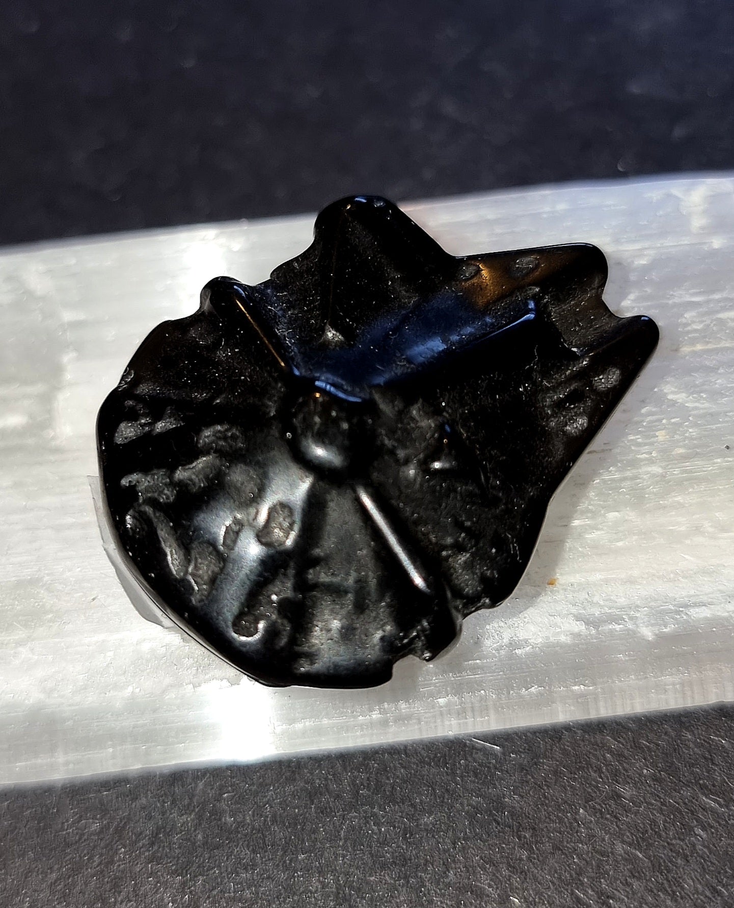 Black Obsidian Star Ship