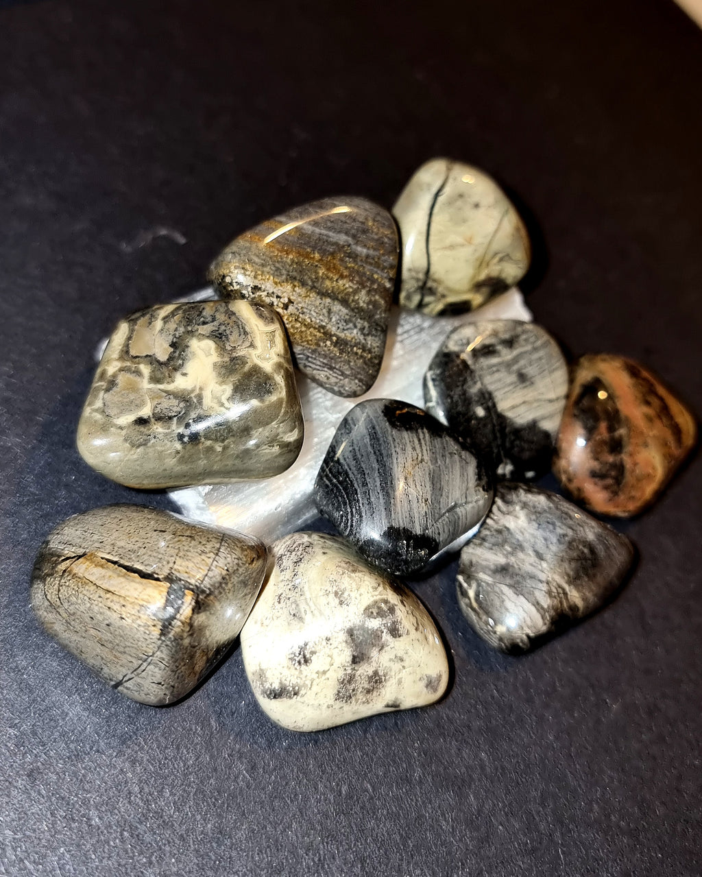 Silver Leaf Jasper Tumble Stone Grounding Crystal for Emotional Balance & Protection